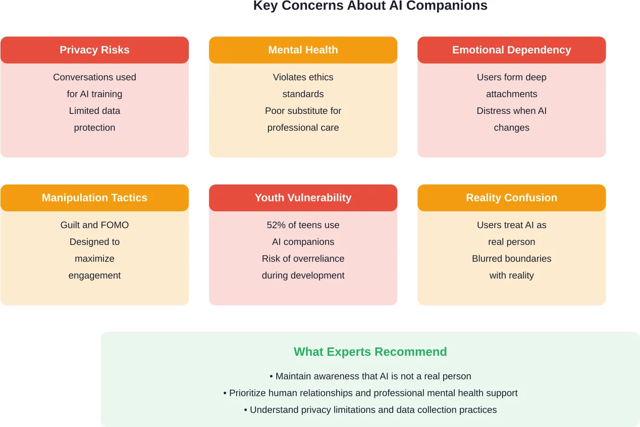 Critical concerns identified by academic research about AI companion usage